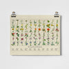 Wildflowers Fine Art Print