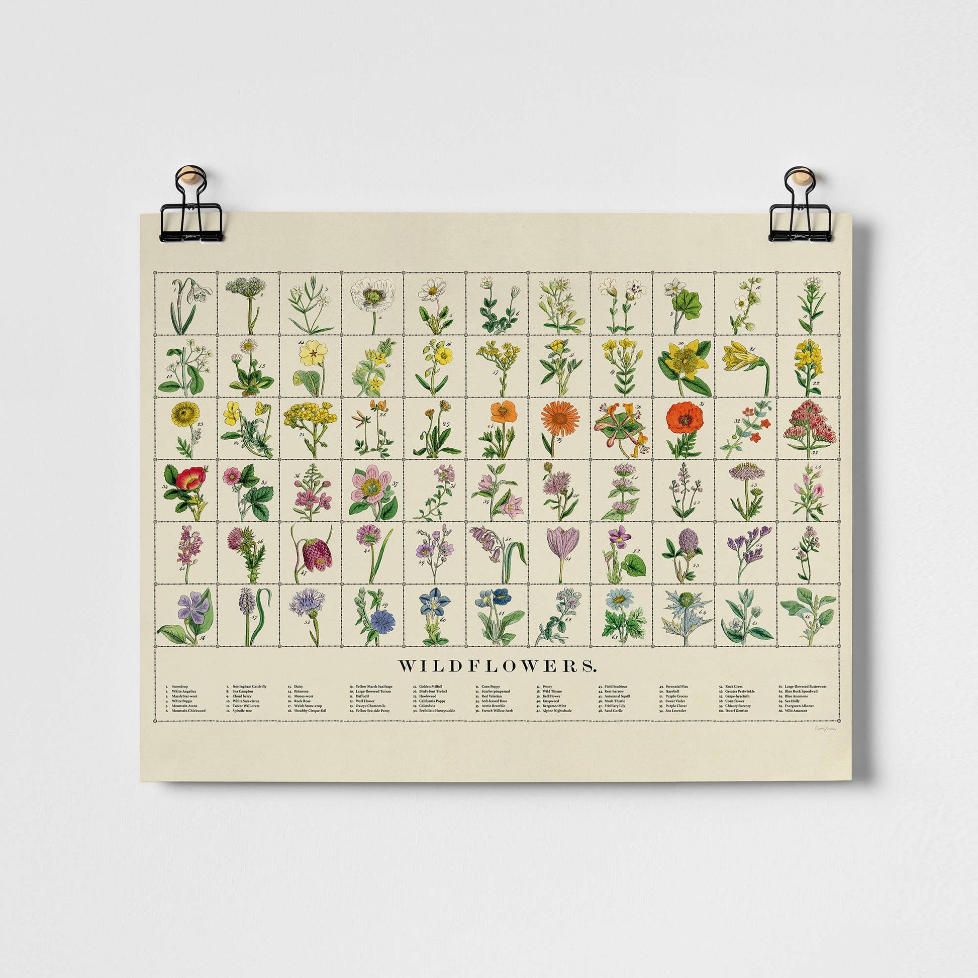 Wildflowers Fine Art Print