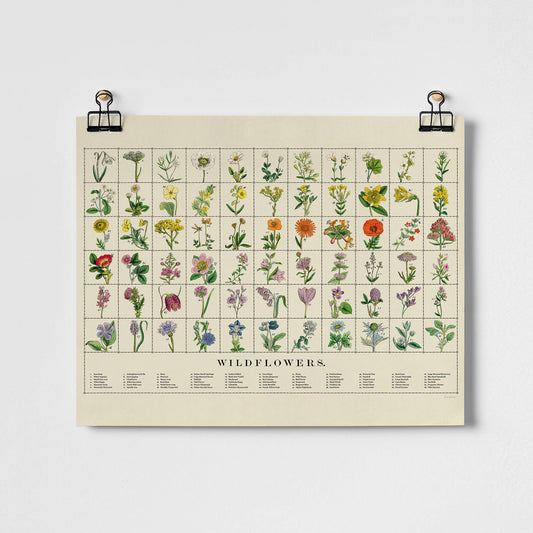 Wildflowers Fine Art Print