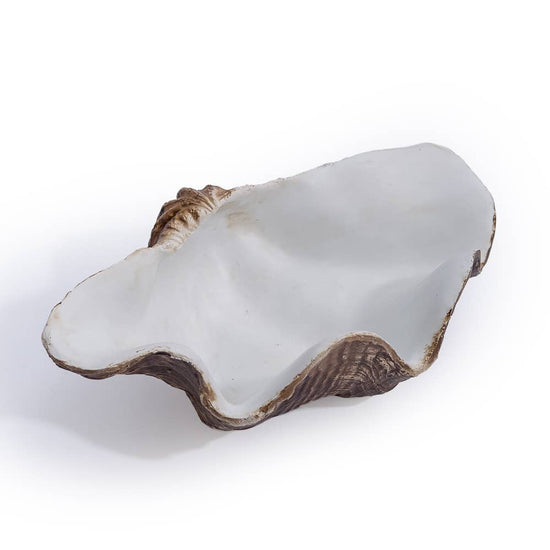 Small Clam Shell Jewellery Bowl