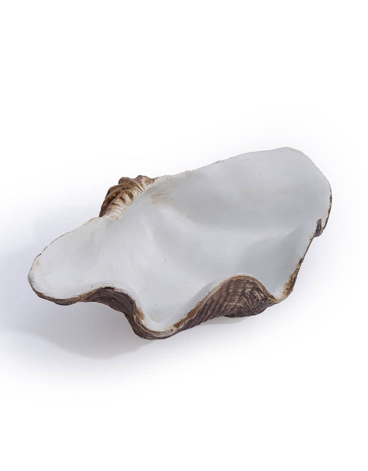 Small Clam Shell Jewellery Bowl