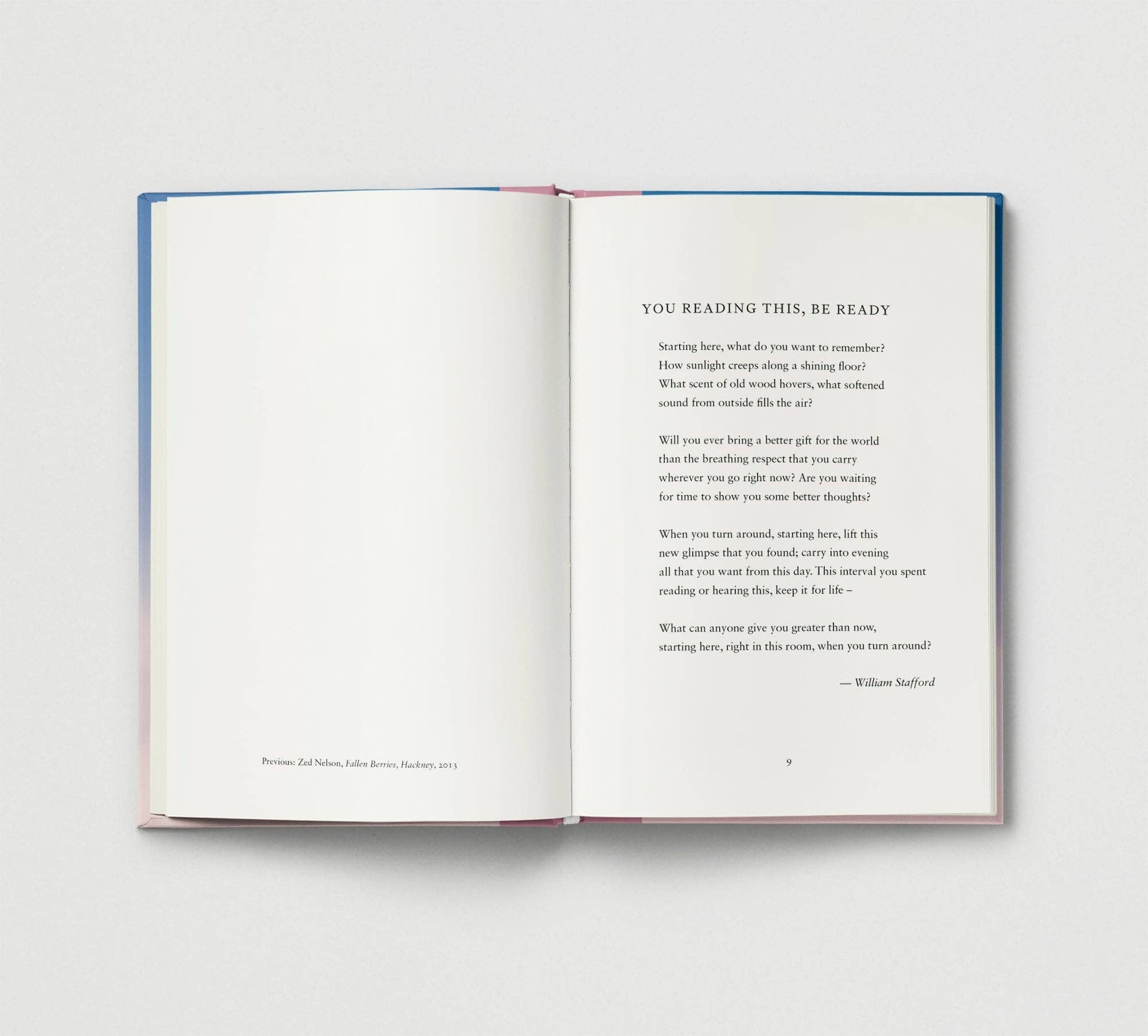 Everyday Wonder inside pages