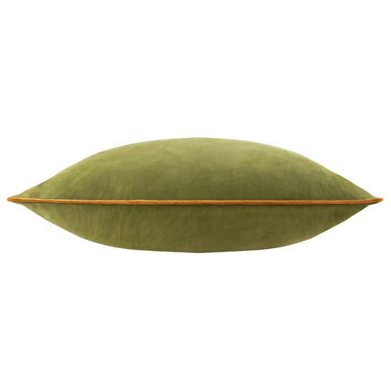 Meridian Velvet Cushion detail