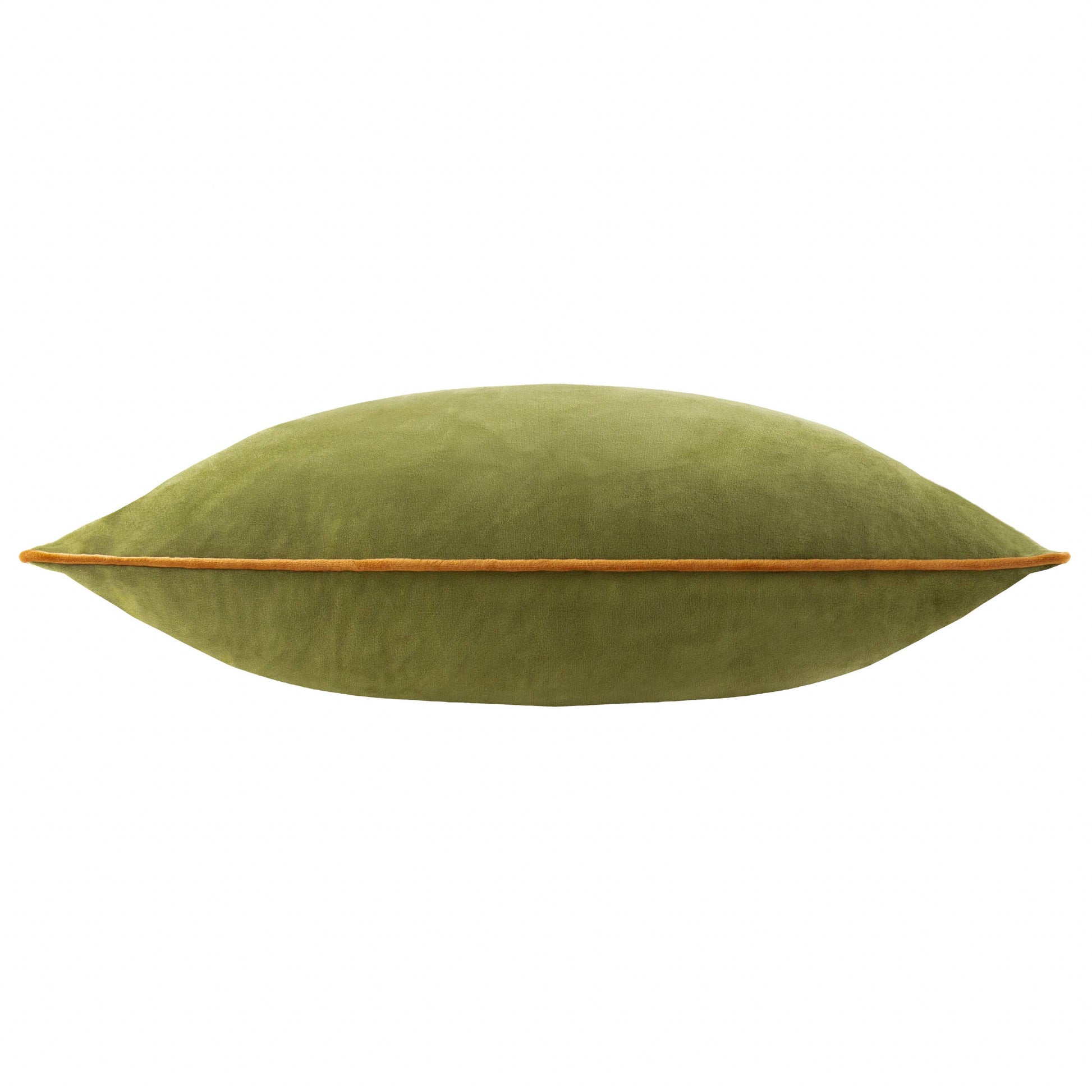 Meridian Velvet Cushion detail