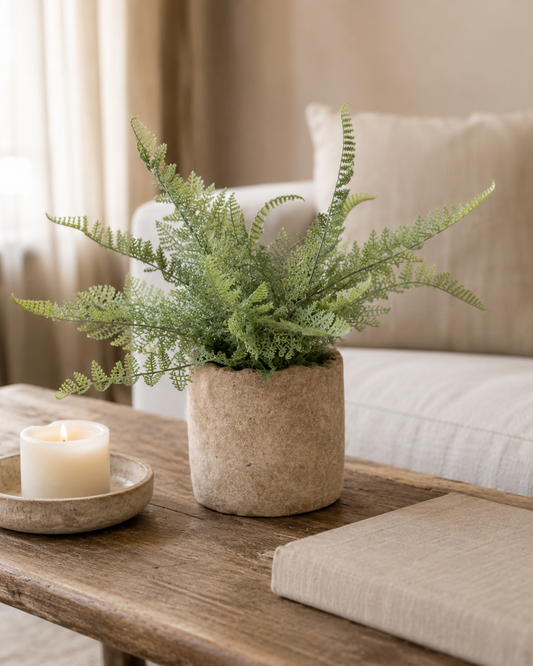 Potted Fern