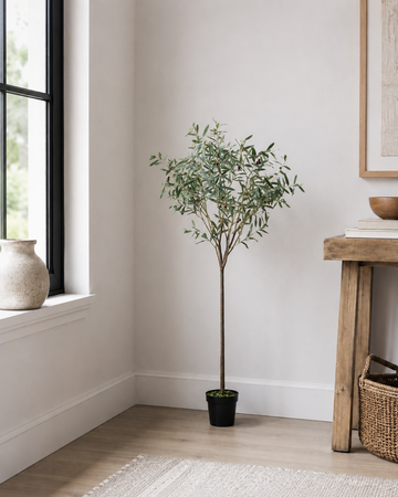Small Olive Tree - Green