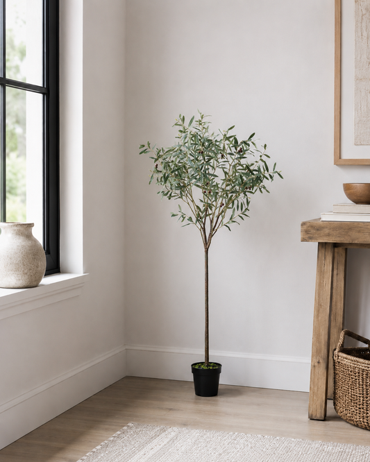 Small Olive Tree - Green