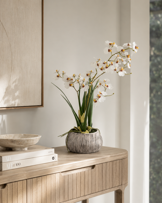 Orchid in Low Ceramic Pot
