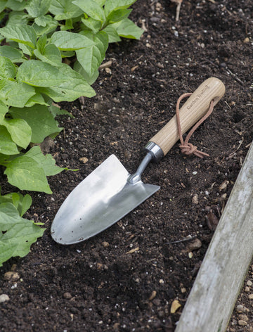 Hawkesbury Hand Trowel