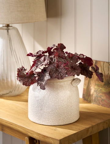 Ravello Ceramic Pot With Handles