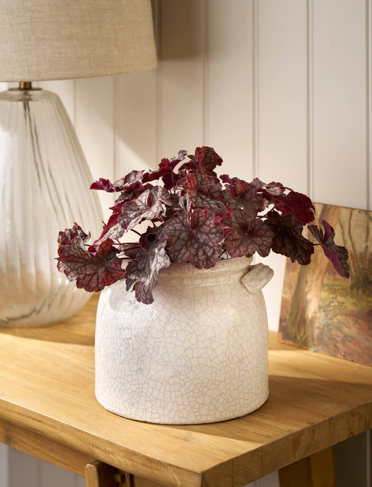 Ravello Ceramic Pot With Handles