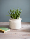Ravello Ceramic Pot With Handles
