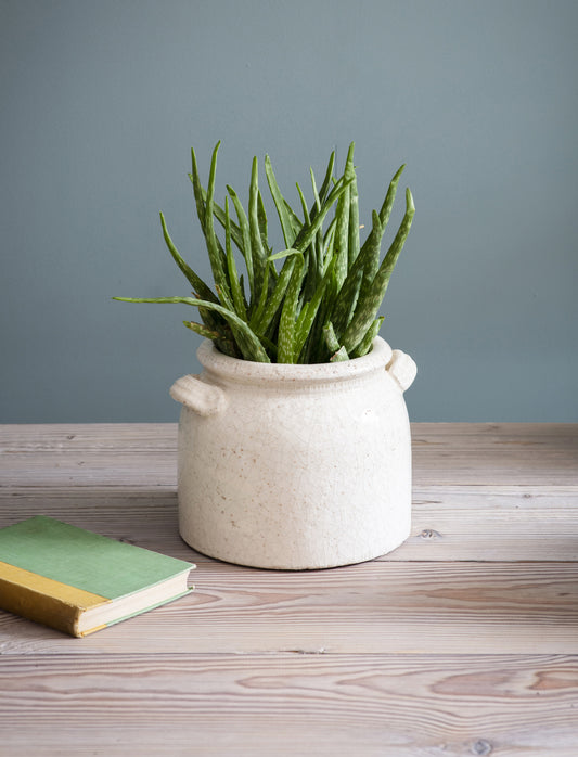 Ravello Ceramic Pot With Handles
