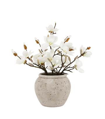 Magnolia Vase Arrangement — product shot