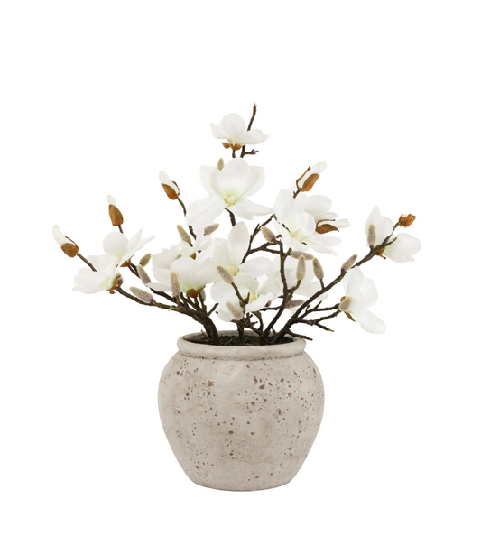 Magnolia Vase Arrangement