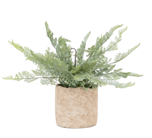 Potted Fern — detail