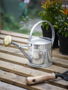 Classic Watering Can - Galvanised Steel (1.5L)