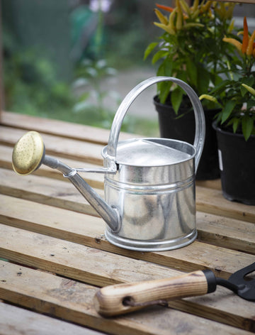 Classic Watering Can - Galvanised Steel (1.5L)