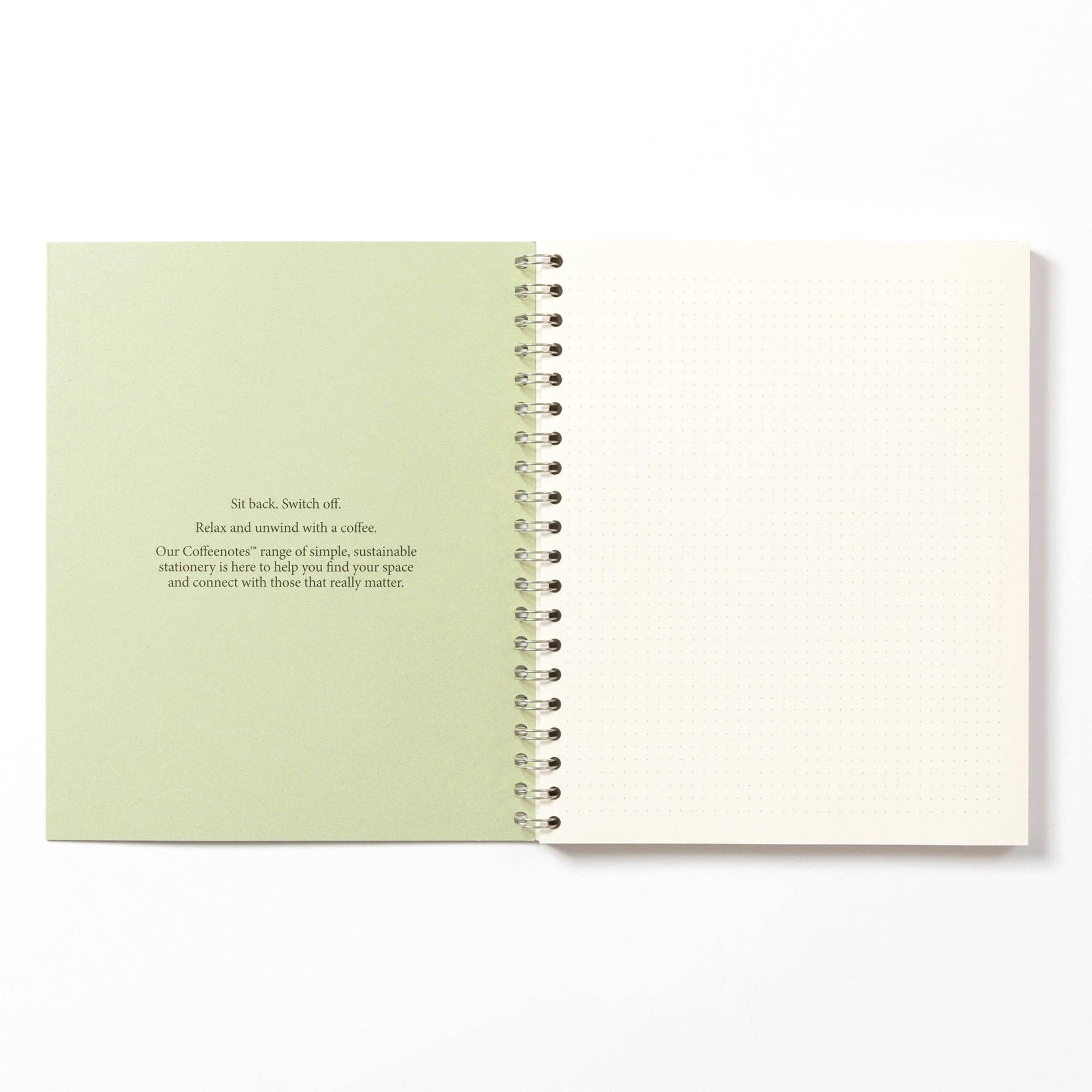 Kiwi notebook detail