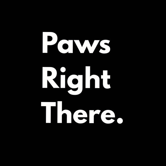 Calm and Care Paw Balm for Dogs