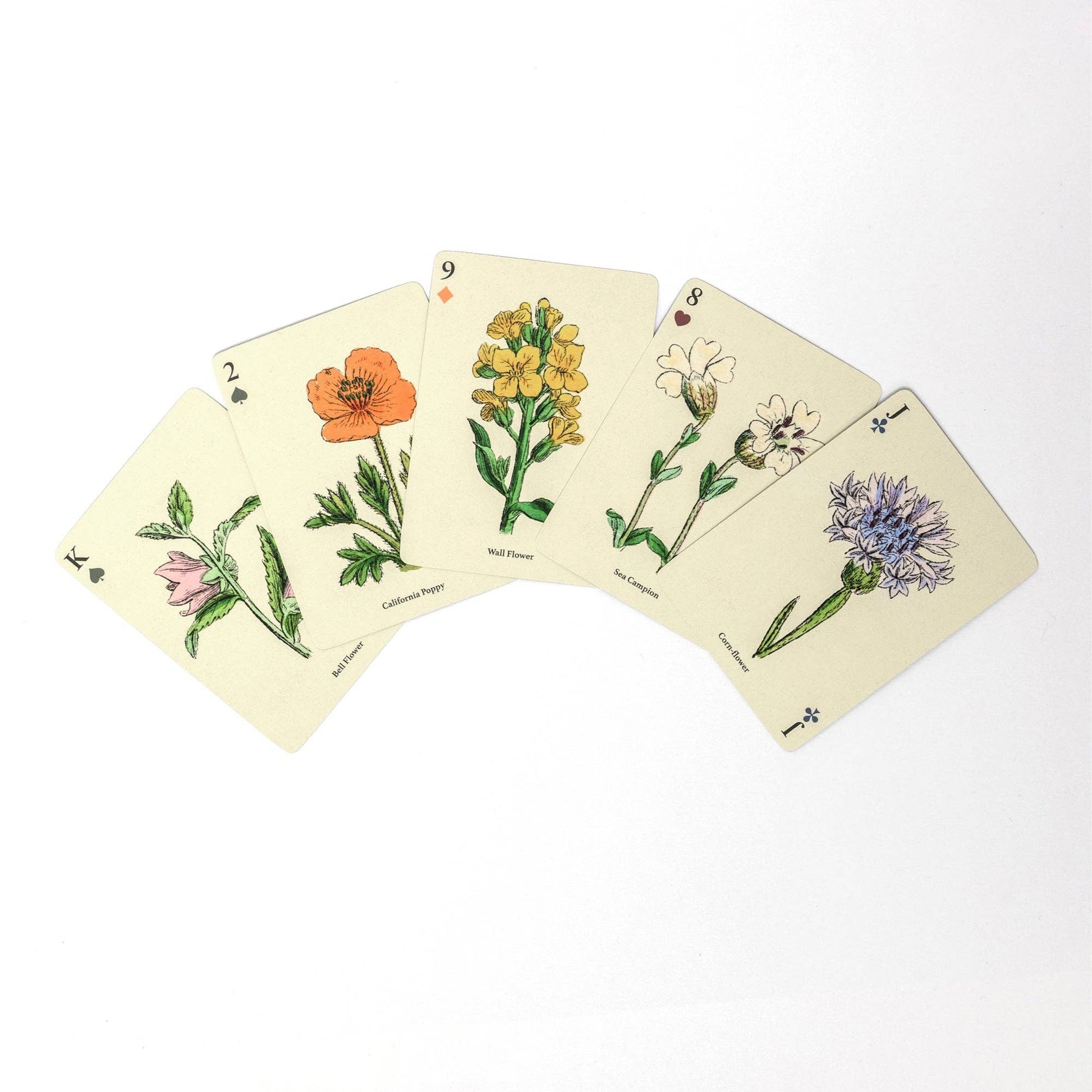 Wildflowers playing cards detail