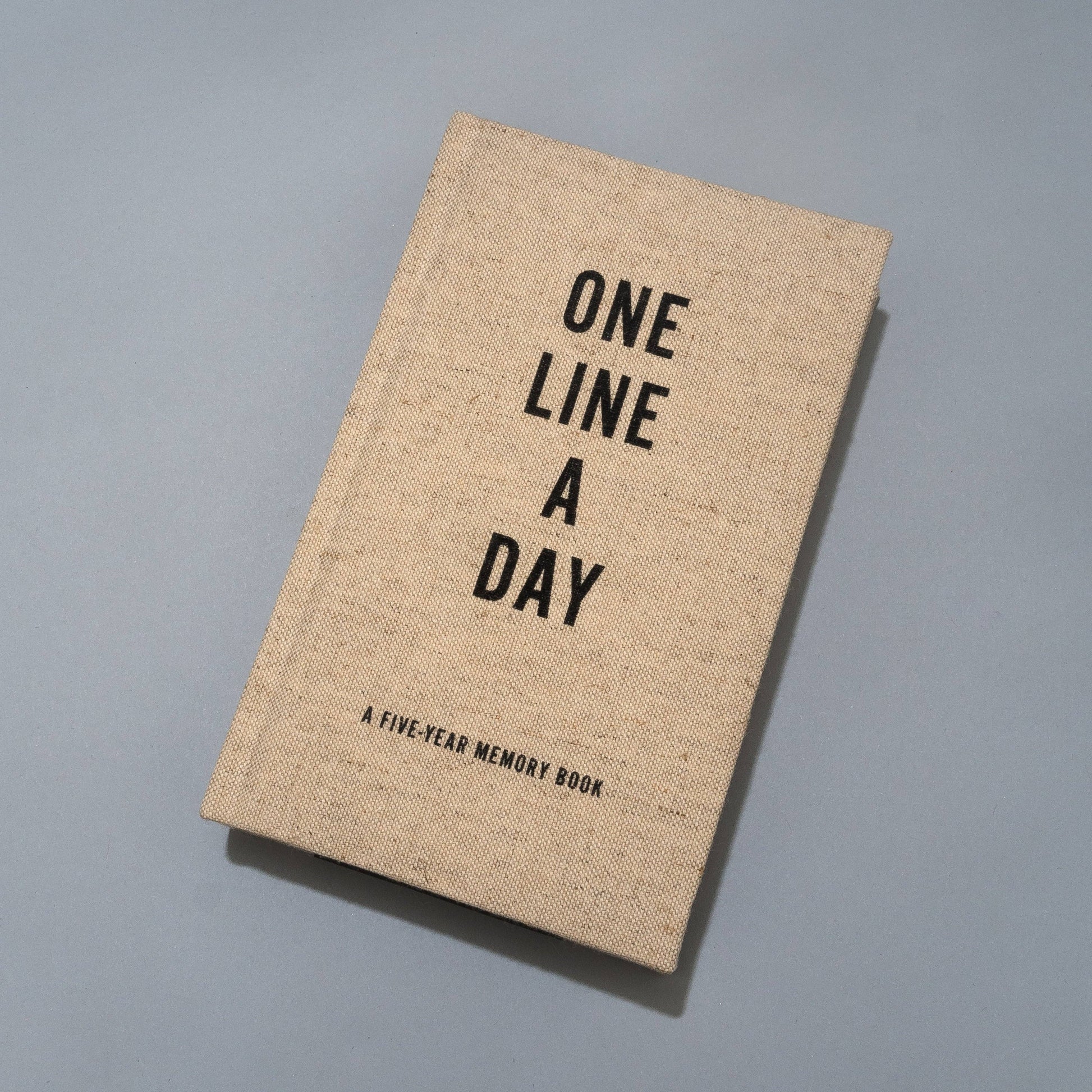 Canvas One Line A Day inside pages
