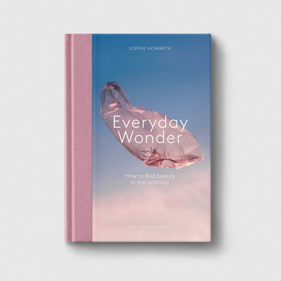Everyday Wonder book