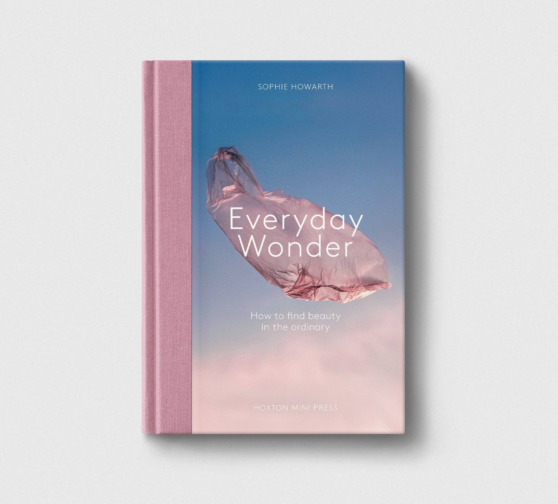 Everyday Wonder book